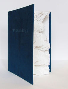 Meteorology – Artist Book - 11" H x 6" W x 1" - 2013