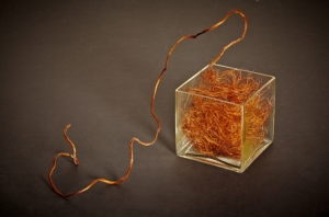  Entelechy #1, Copper wire & found object, 20"x12"x7", 2010